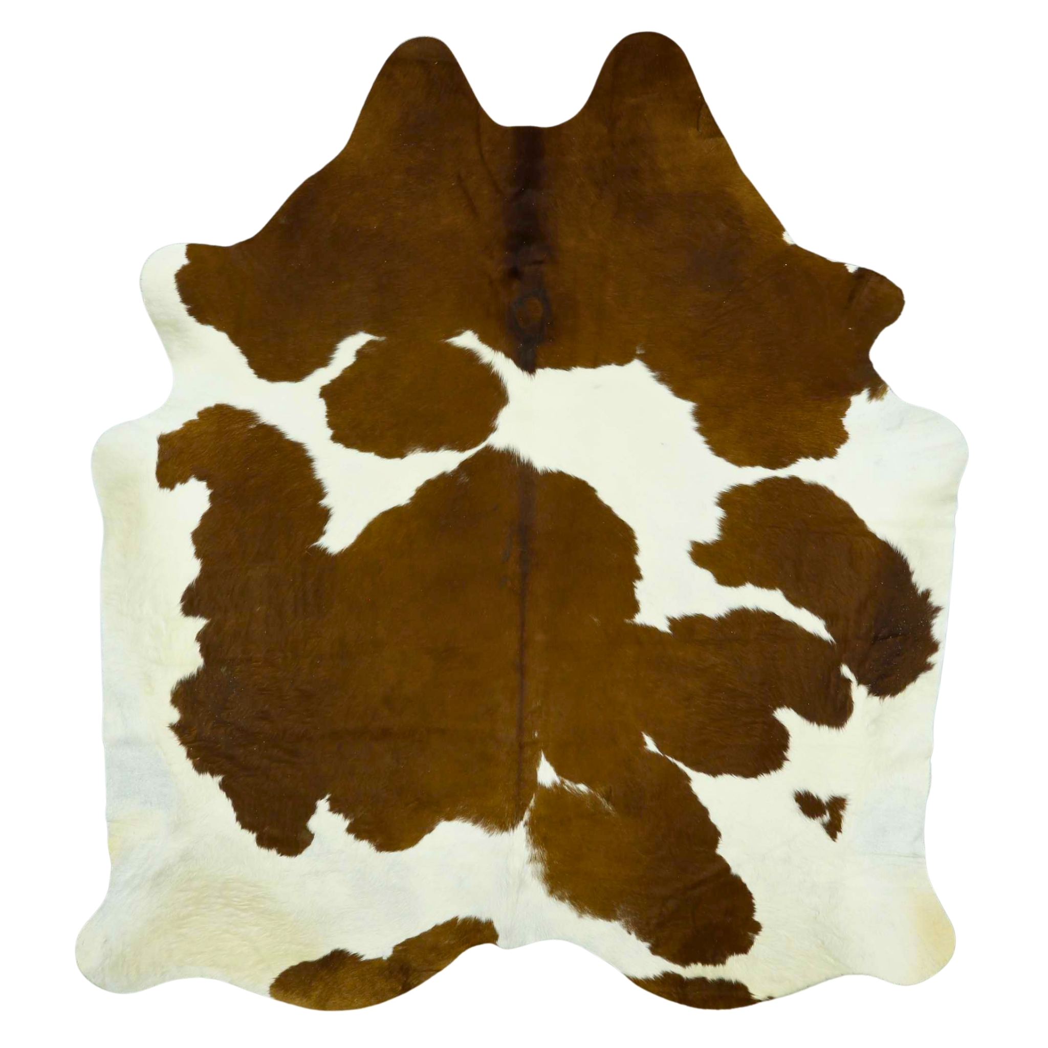 Cowhide Rug - Brown and White