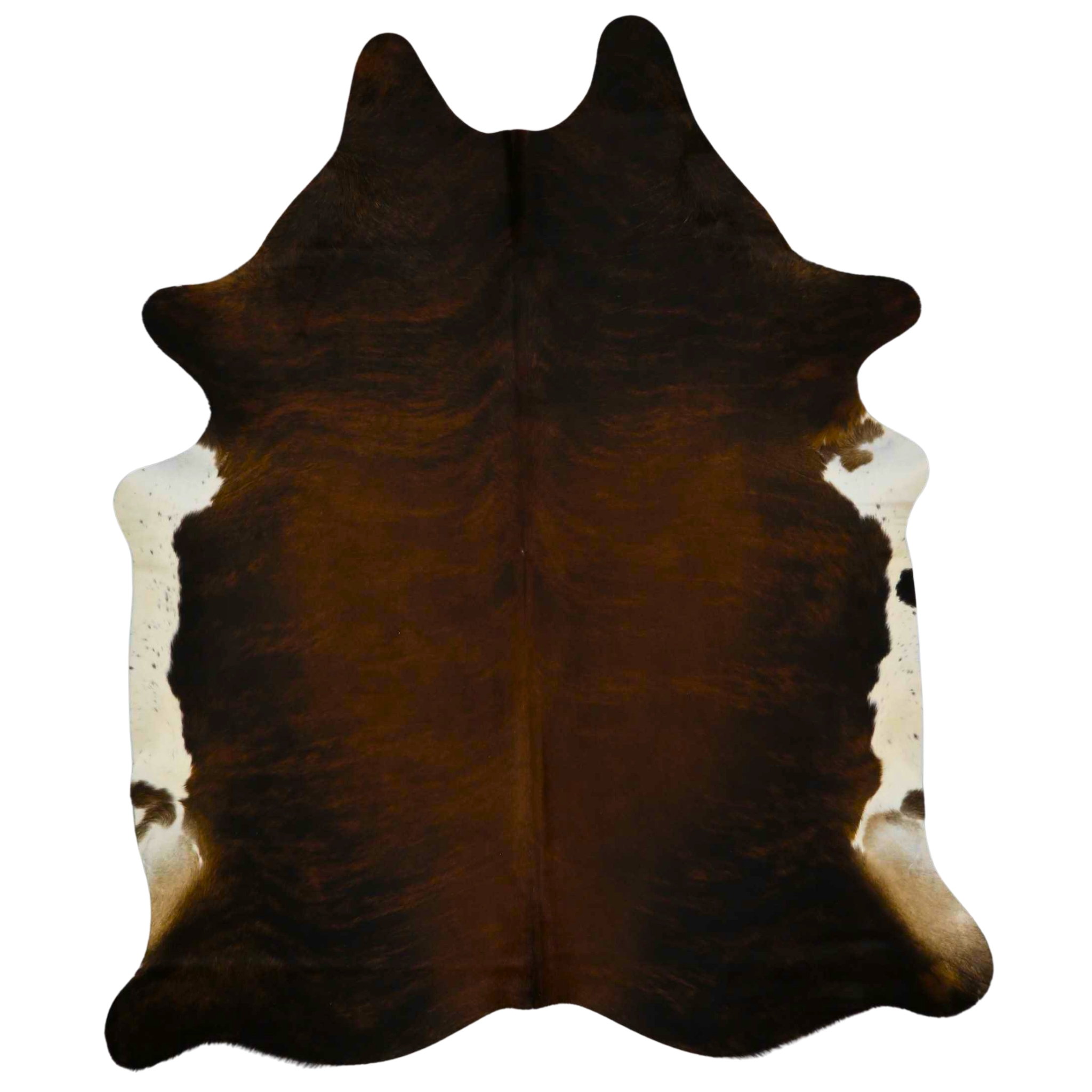 Cowhide Rug - Exotic 
